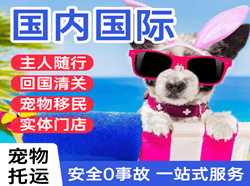 左旗巴彦浩特机场物流国际宠物托运 【国